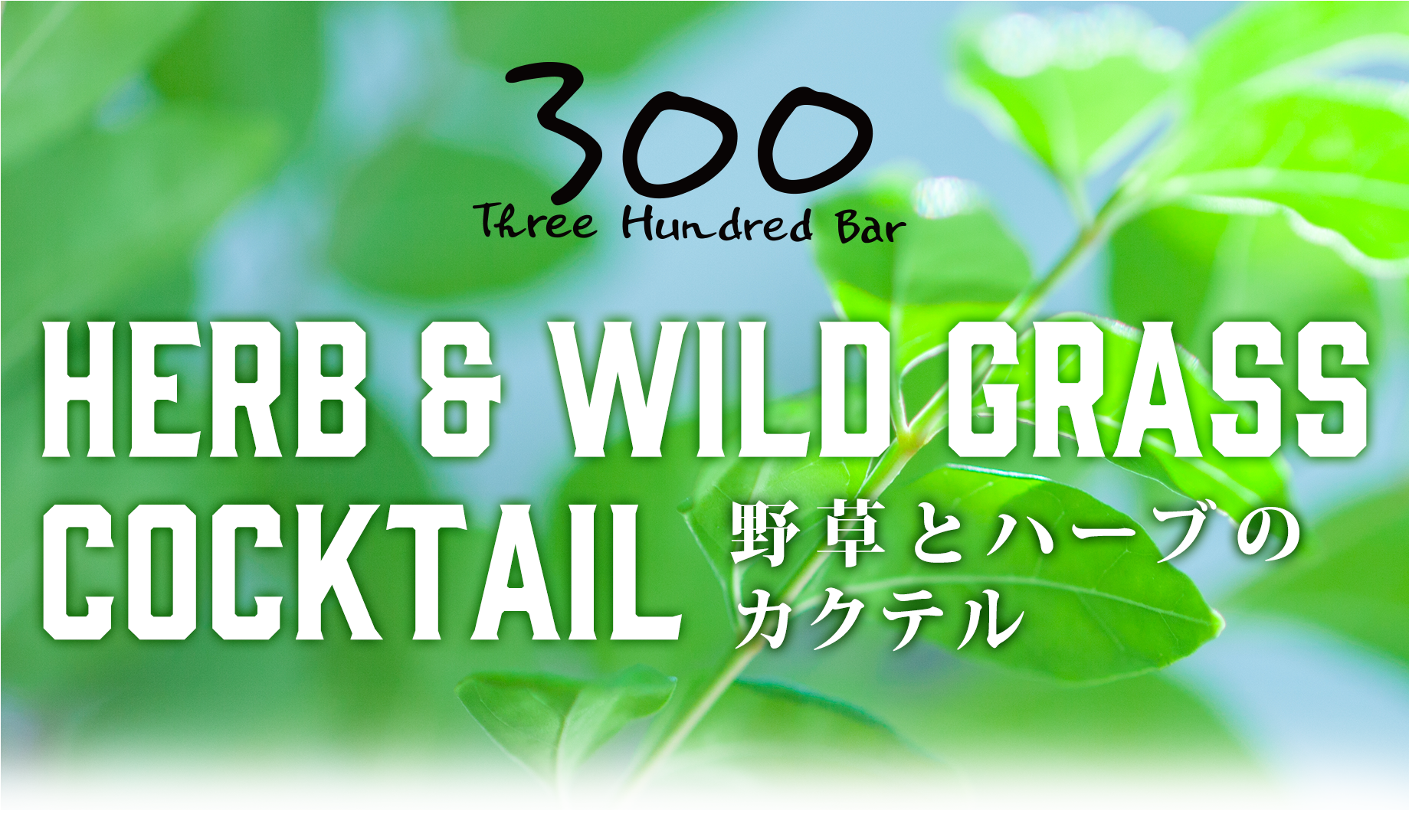 GINZA 300BAR