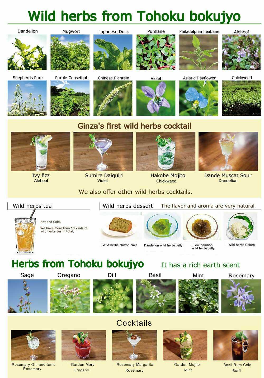 WILD HERBS COCTAILS