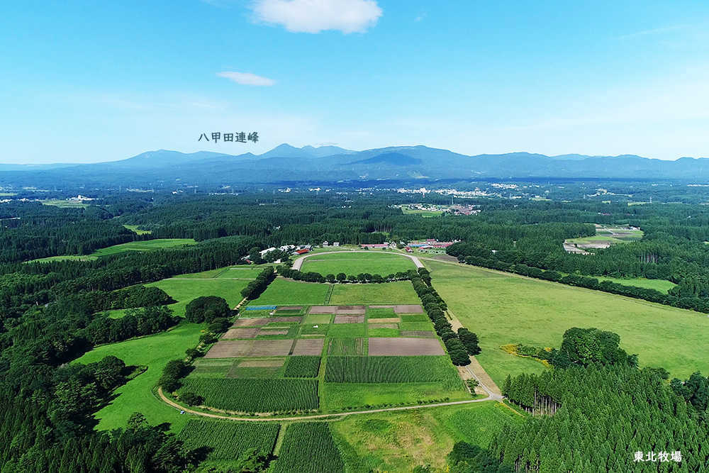 東北牧場